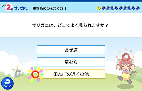 2年　生活「生きもののそだて方」