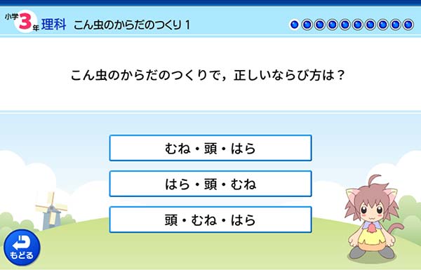 3年　理科「こん虫のからだのつくり」