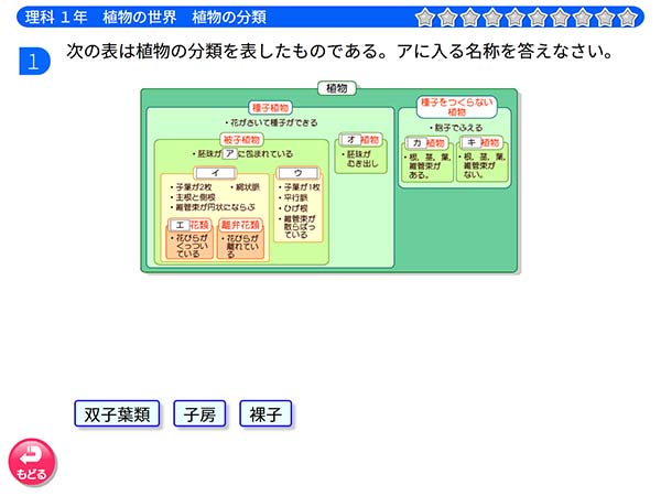 中学1年　理科「植物の世界　植物の分類」