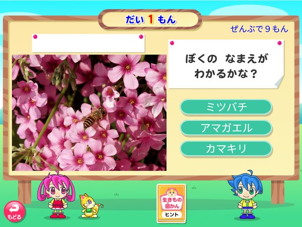 生活「生きものクイズ　ミツバチ」
