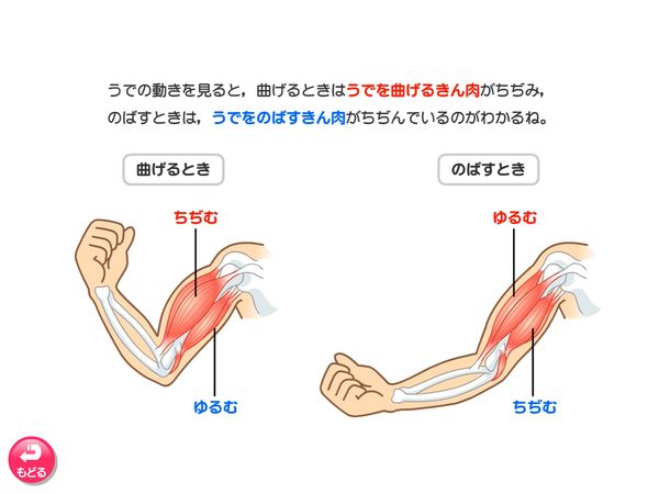 理科「人の体のつくり」