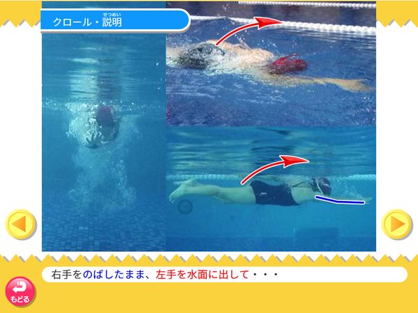 体育「水泳　クロール」