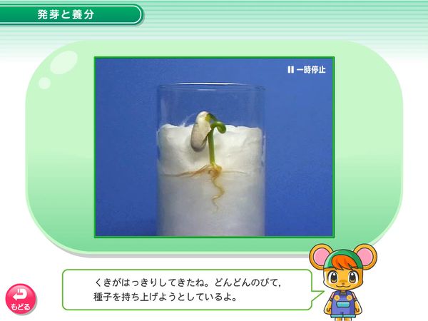 理科「植物の成長　発芽と養分」