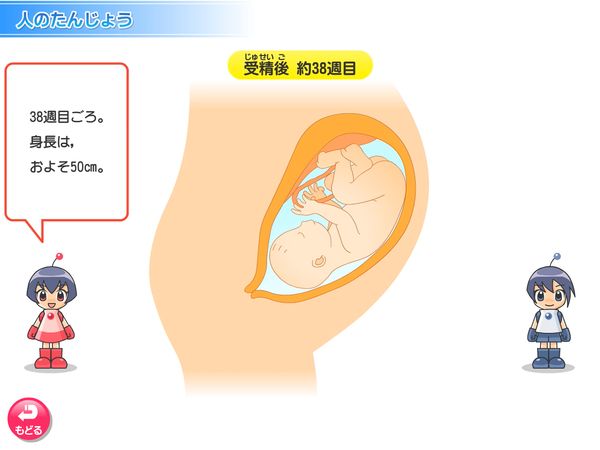 理科「人のたんじょう」