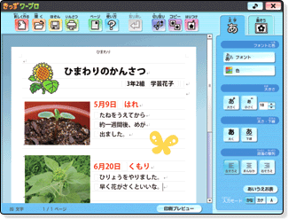 쐬ʁuЂ܂̂񂳂v